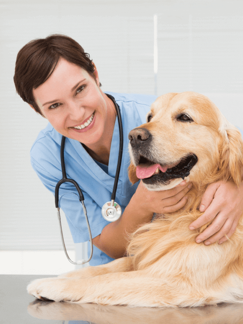 Doctor with dog