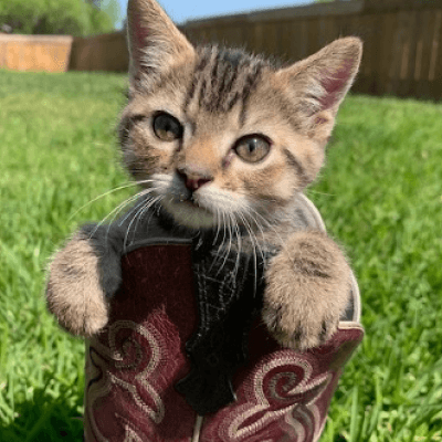 Rescued 18