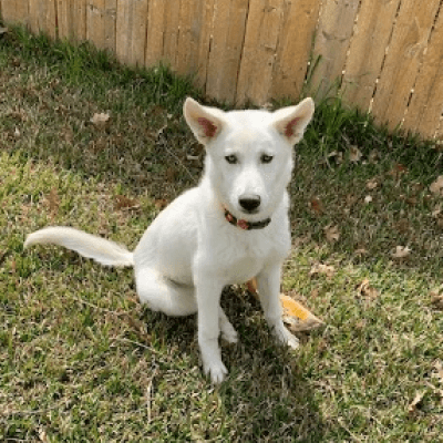 Rescued 19